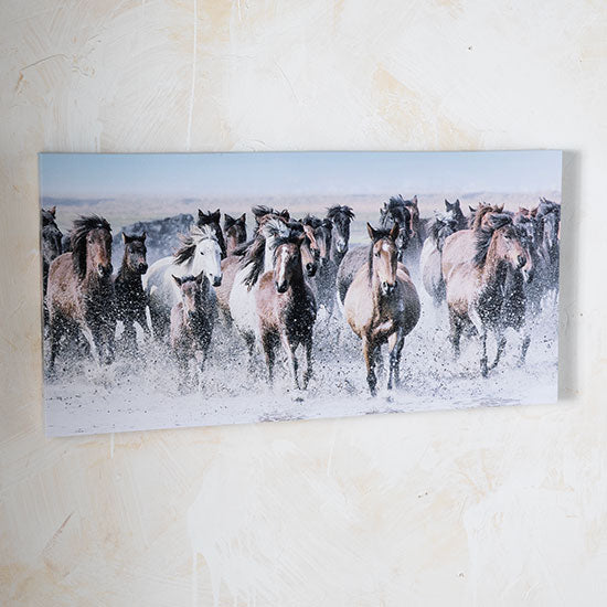 NRS Running Horses in the Water Canvas Wall Art