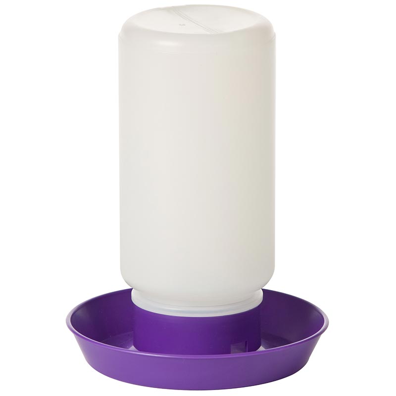 Little Giant Fount Plastic Base Mason Jar Purple 1 Quart