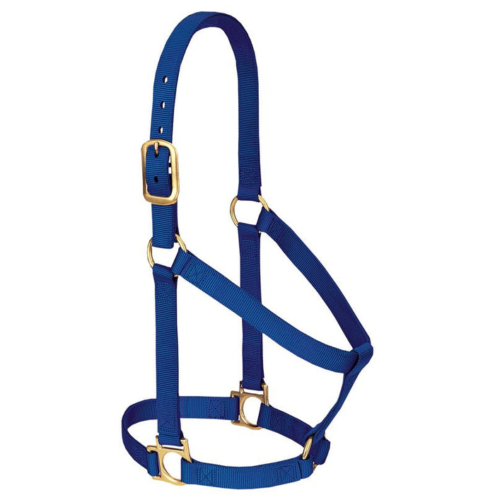 Large 3-Ply Nylon Halter