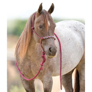 Beaded Rope Halter/10ft Lead