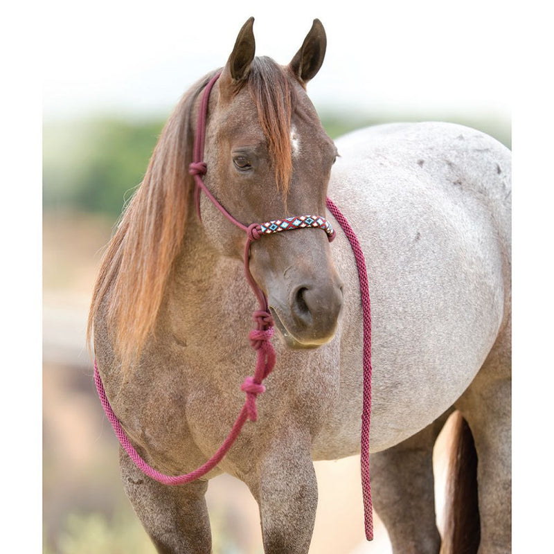 Beaded Rope Halter/10ft Lead