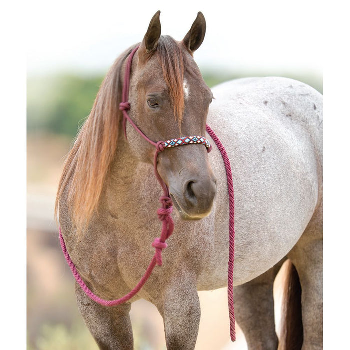Beaded Rope Halter/10ft Lead