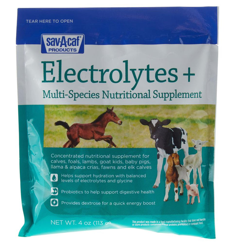e Electrolytes Plus Supplement 4oz