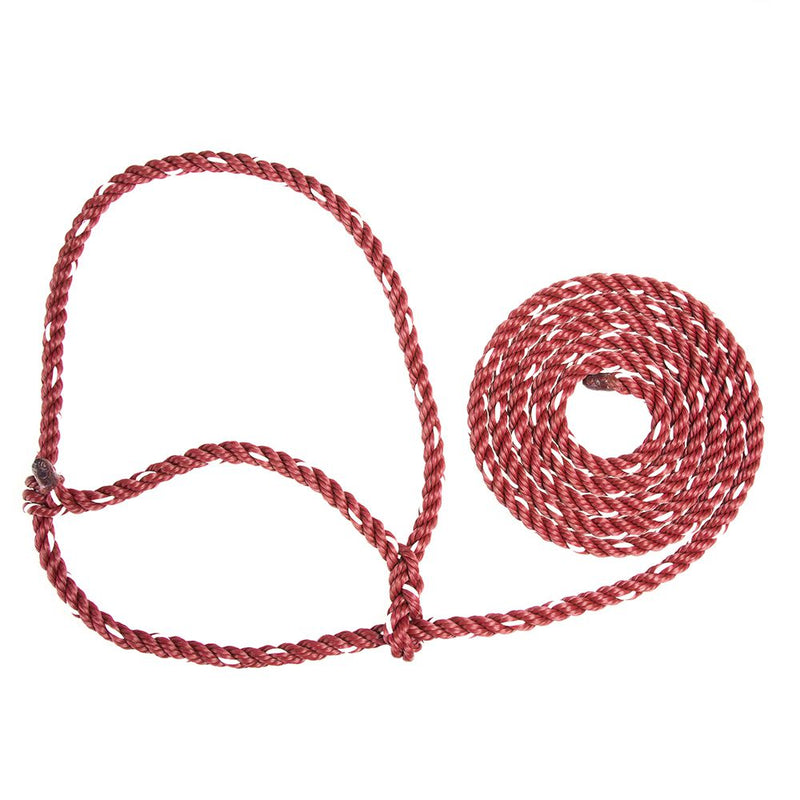 Cow Rope Halter Maroon