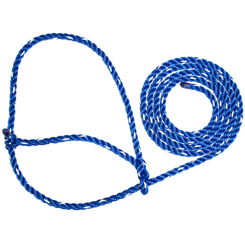 Cow Rope Halter Blue
