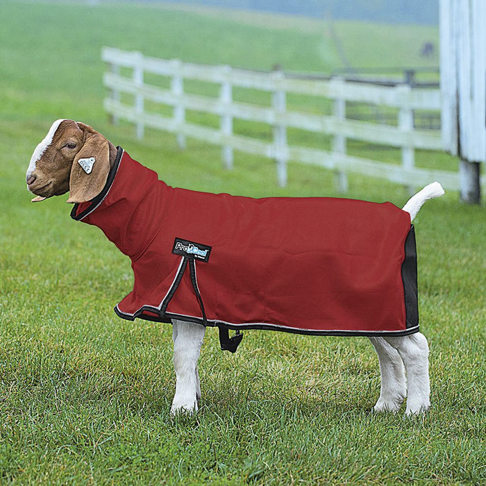 Leather ProCool Mesh Goat Blanket Small Red