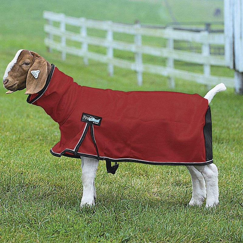 Leather ProCool Mesh Goat Blanket XSmall Red
