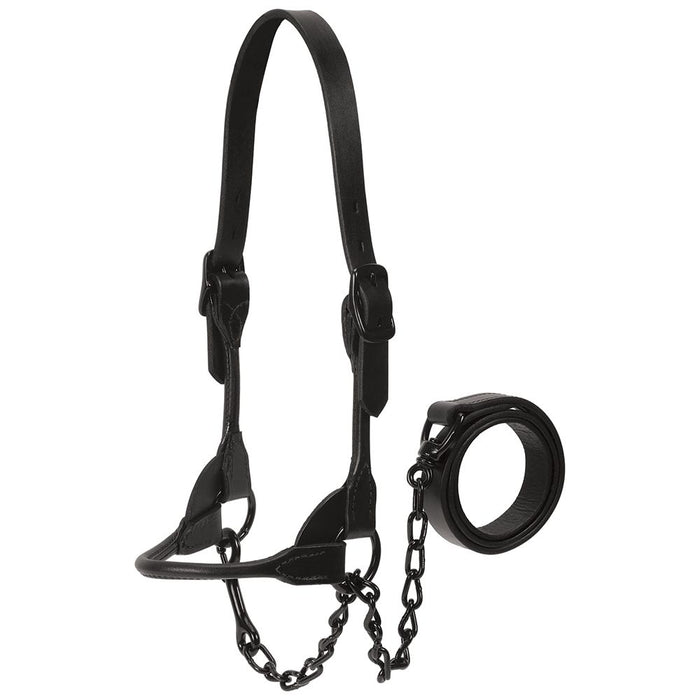 Leather Black Magic Show Halter Medium