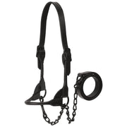 Leather Black Magic Show Halter Large