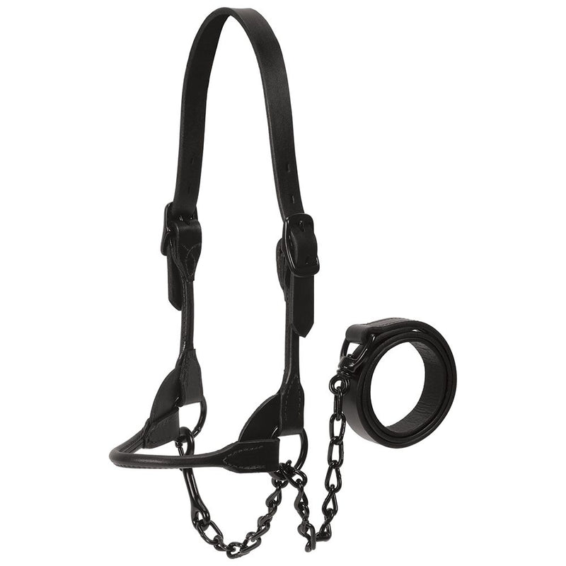 Leather Black Magic Show Halter Large