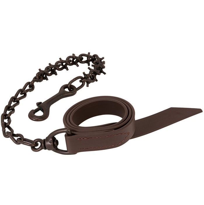 Leather Brahma Brown Cattle Lead with Brown Pronged Chain