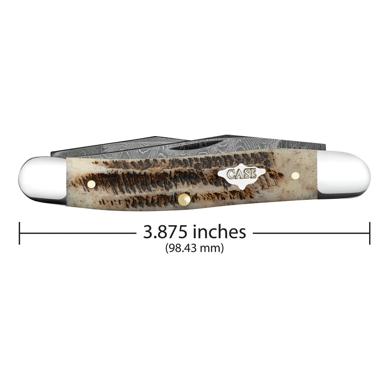 Case XX Muskrat Vintage Bone Pocket Knife CA77463
