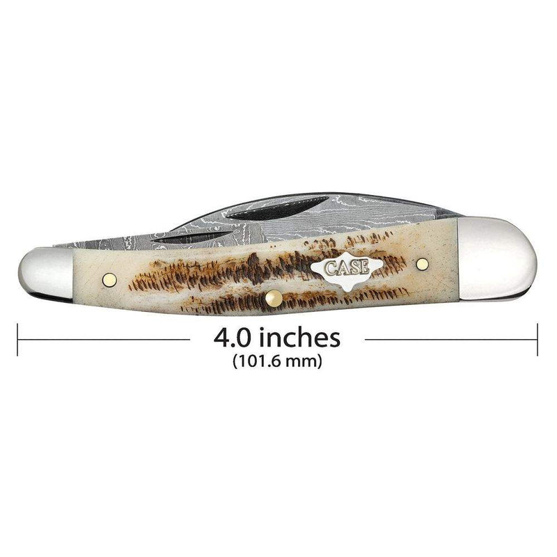 Case XX Seahorse Whittler Vintage Bone Pocket Knife CA77464