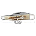 Case XX Seahorse Whittler Vintage Bone Pocket Knife CA77464