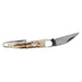 Case XX Seahorse Whittler Vintage Bone Pocket Knife CA77464