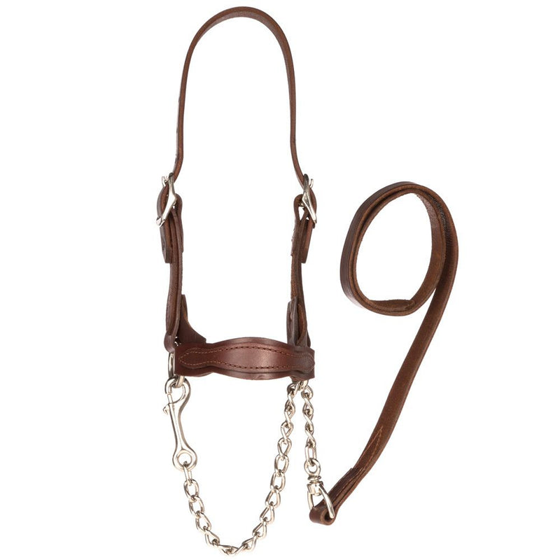 Classic Leather Flat Nose Scalloped Show Halter Small Brown