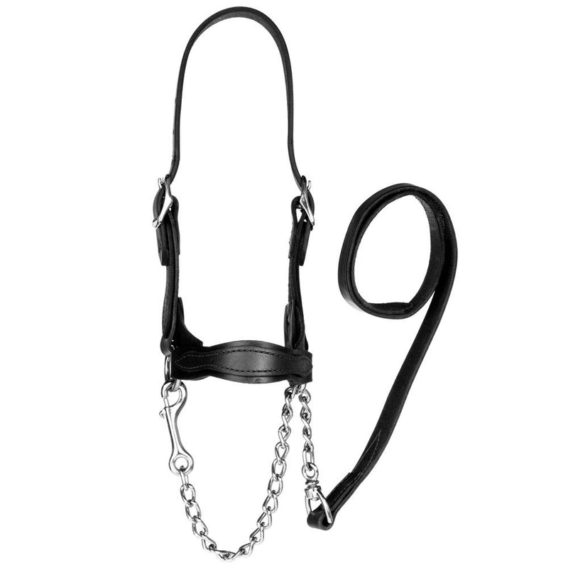 Classic Leather Flat Nose Scalloped Show Halter Small Black