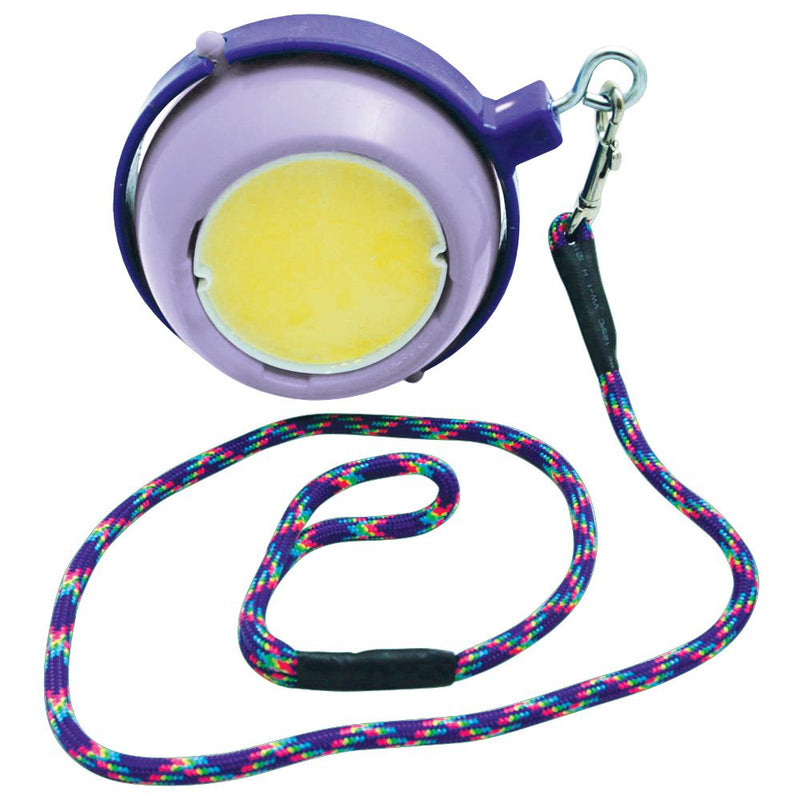 Boredom Buster Purple