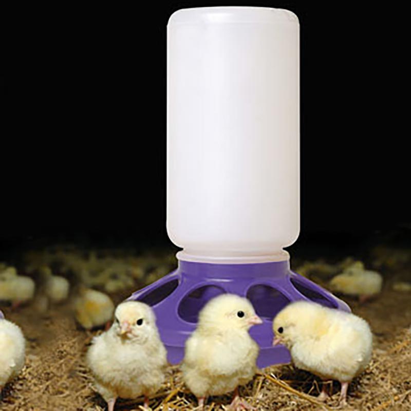 Little Giant 1 Quart Purple Plastic Feeder Base