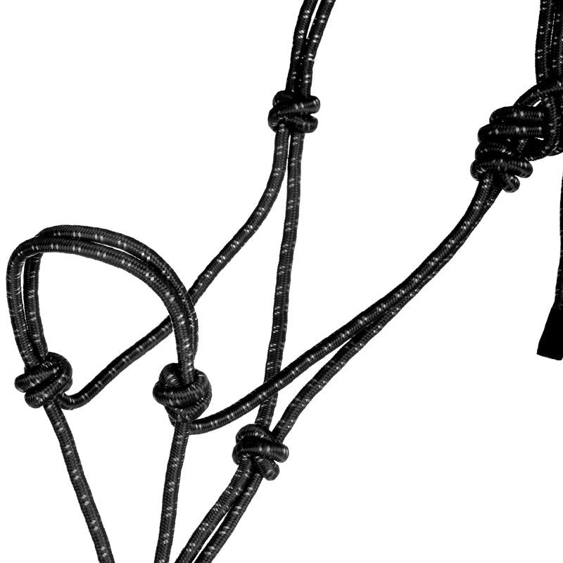 Mustang Yearling Mountain Rope Halter and Lead