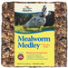 Mealworm Medley Cake Treat 19.5oz 3/pk
