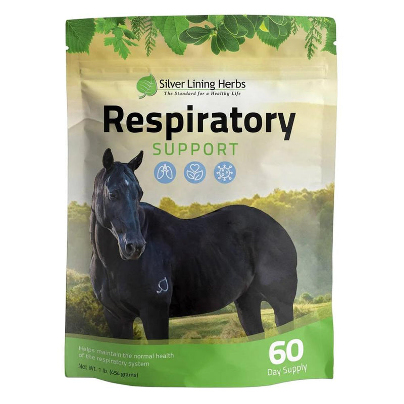 Herbs #22 Respiratory Support