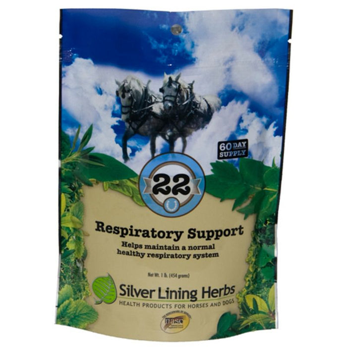 Herbs #22 Respiratory Support