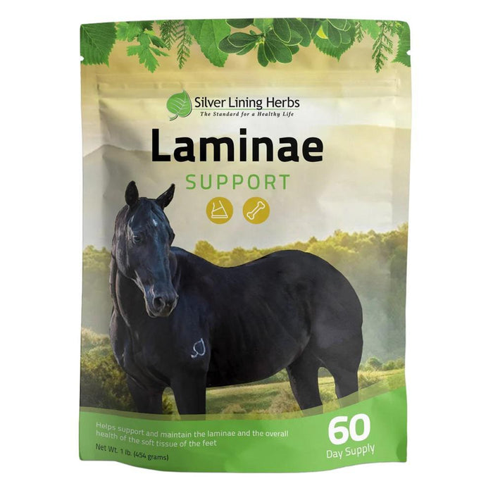 Herbs #23 Laminae Support