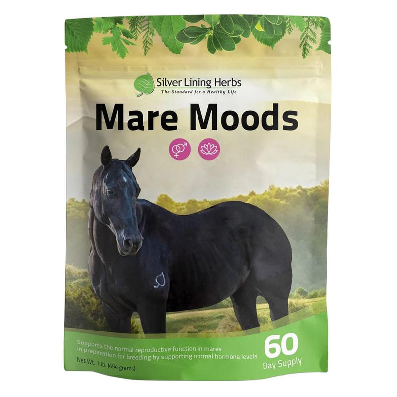 Herbs #31 Mare Moods