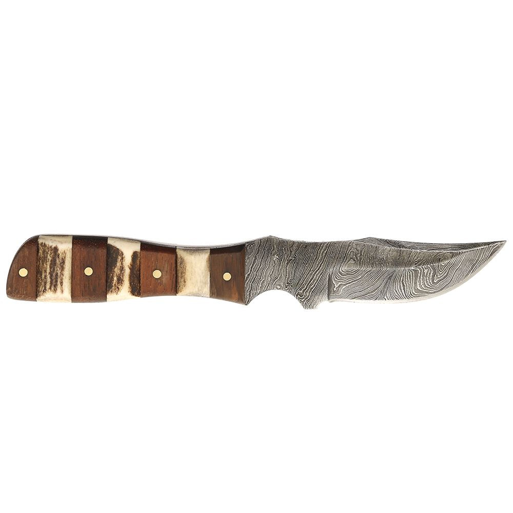 Stag Scales - Natural - 3x.63x.25 approx. — WoodWorld of Texas