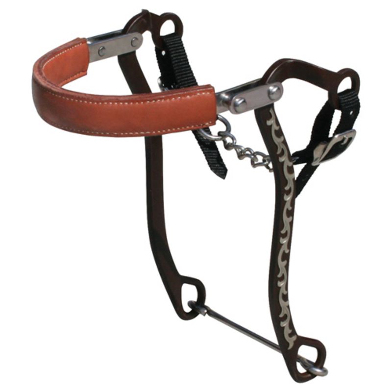 Bob Avila Floral Hackamore Bit