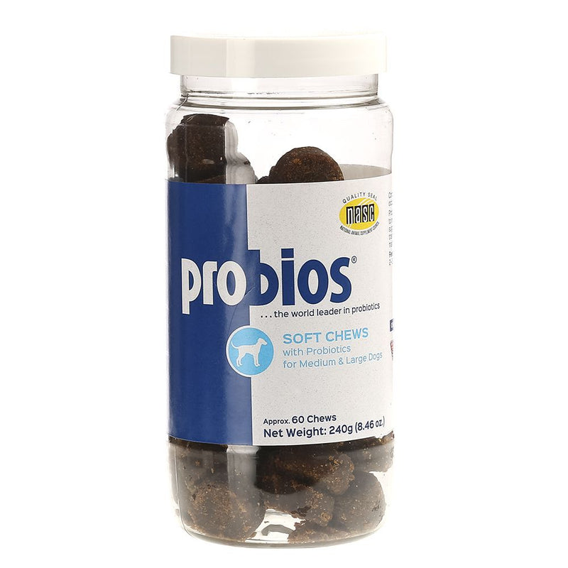 SoftChew Probiotic M/L Dog 60ct