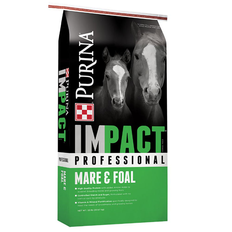 Impact Professional Mare and Foal