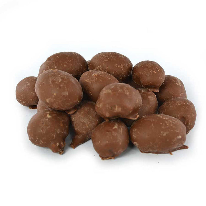 Ozark Nut Roasters Double Dipped Chocolate Peanuts 4oz
