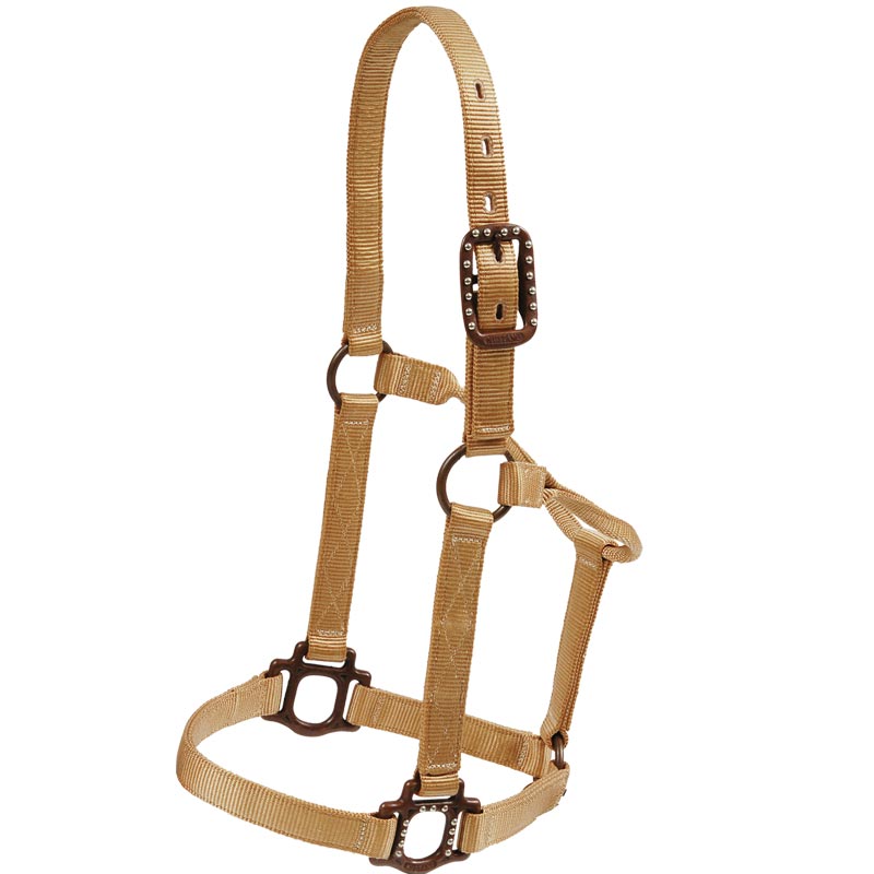 Mustang Antique Dot Halter