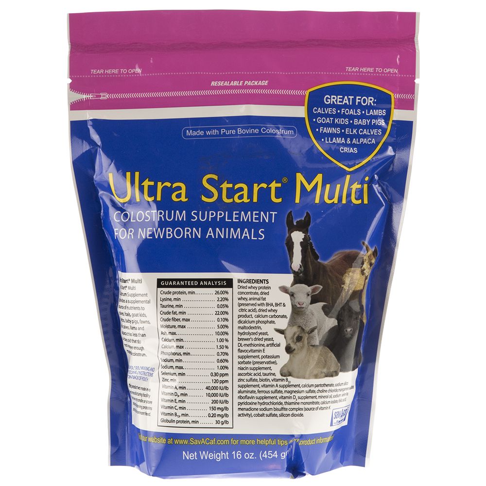 Sav A Caf Ultra Start Multi Colostrum