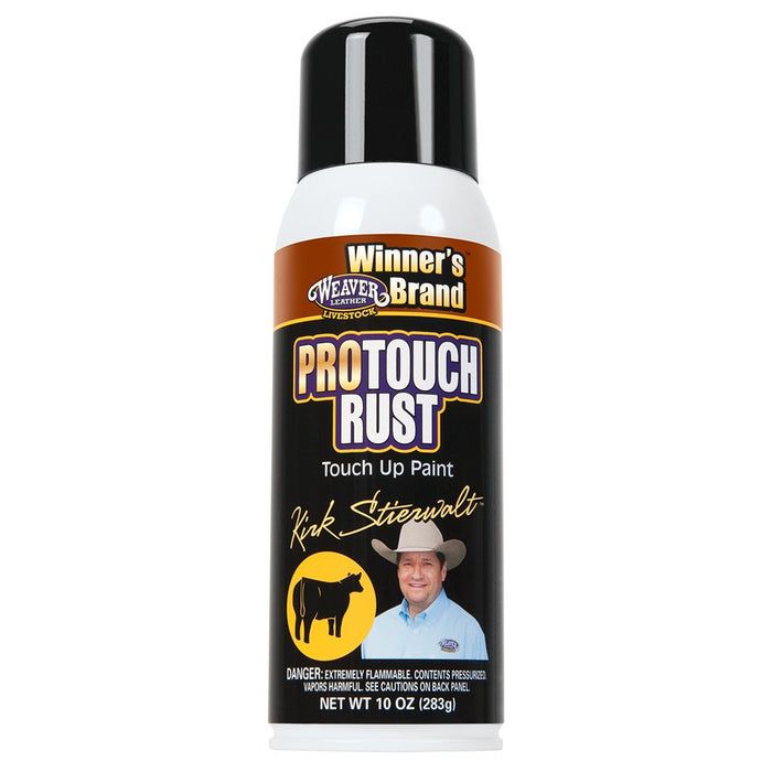 Leather Stierwalt ProTouch Rust Touch Up Paint