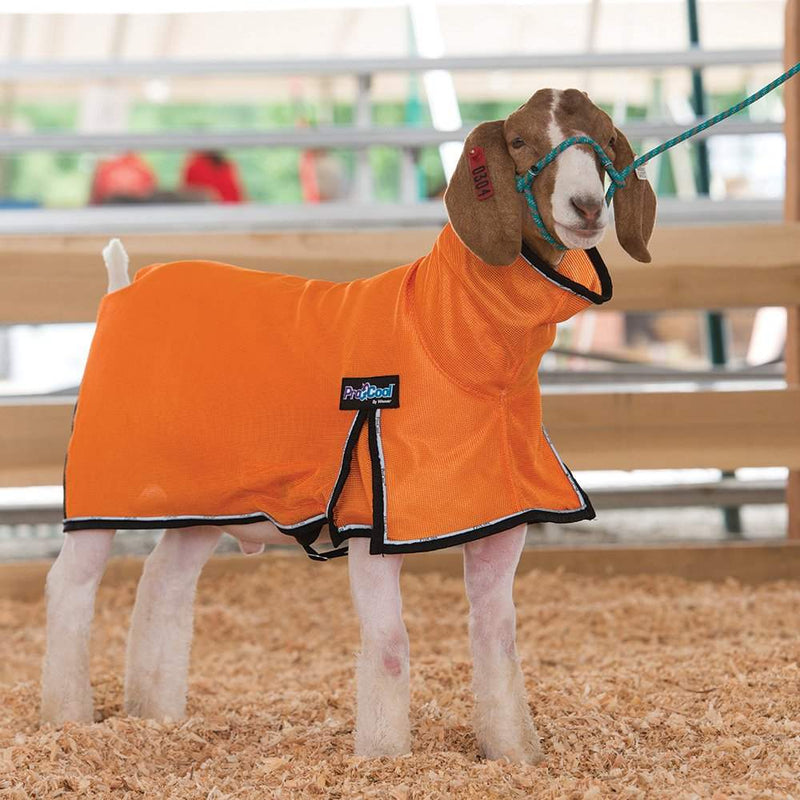 Weaver Leather Leather ProCool Mesh Goat Blanket X-Small