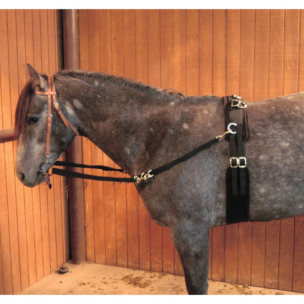 Shires Longe d'entraînement Harbridge Nylon Noir