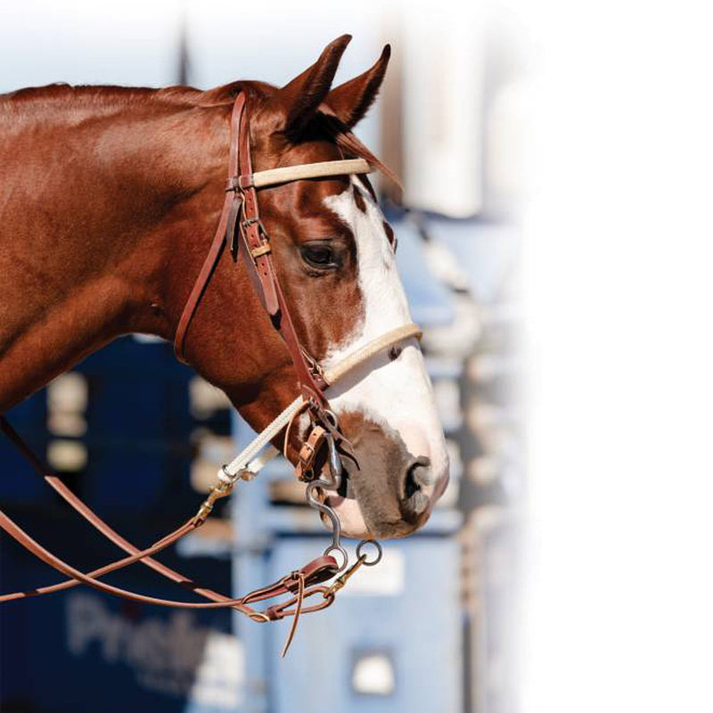 Professionals Choice Braided Rawhide Double Rope Noseband