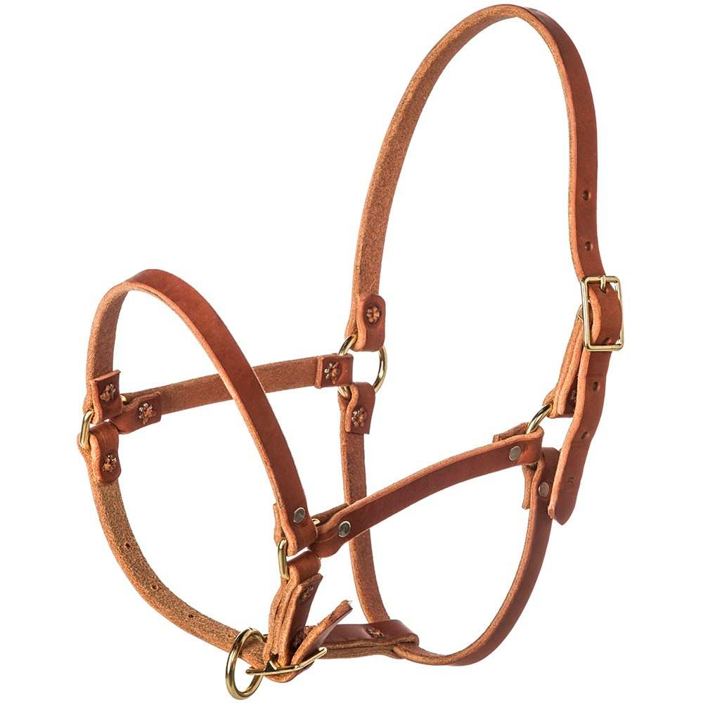 NRS Tack Foal Weanling Leather Halter