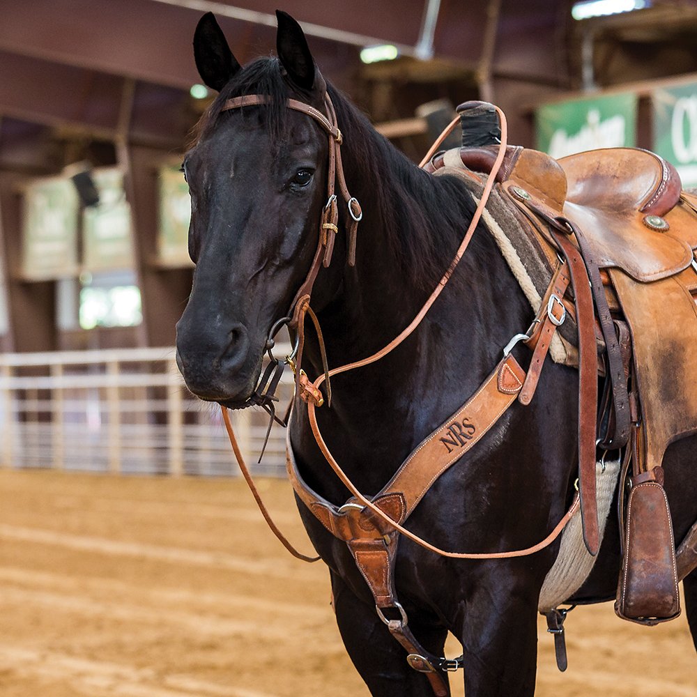 Henri de Rivel Rounded Nylon Draw Reins w/Leather Snap - Riding Warehouse Henri de Rivel Rounded Nylon Draw Reins w/Leather Snap - Riding Warehouse