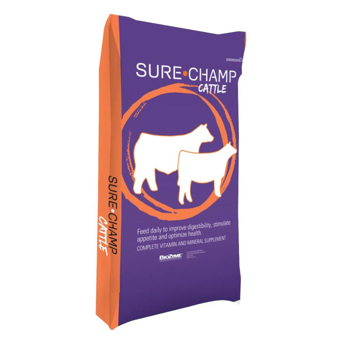 SureChamp