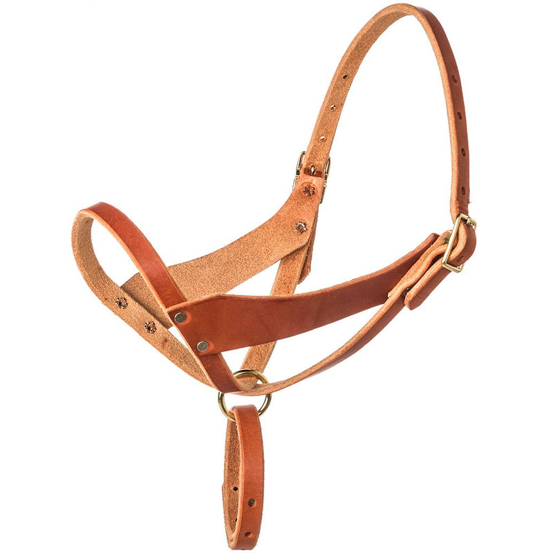 Foal Figure Eight Halter