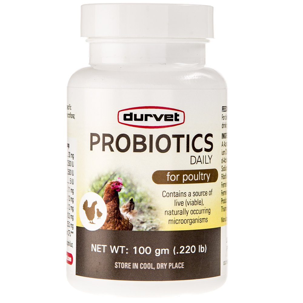 Poultry Digestive