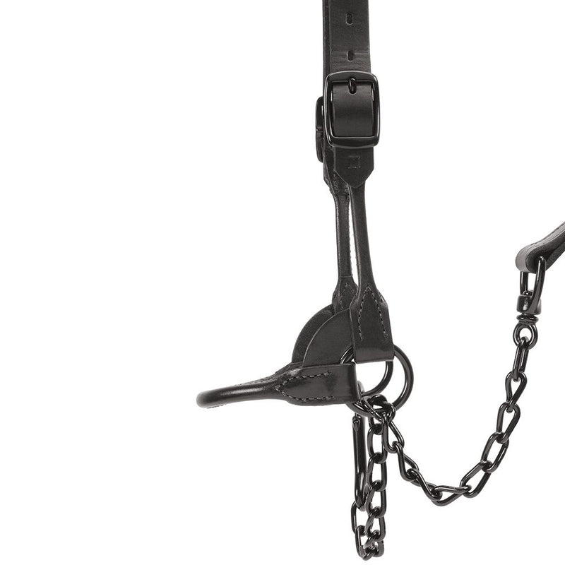 Weaver Leather Leather Black Magic Show Halter Small