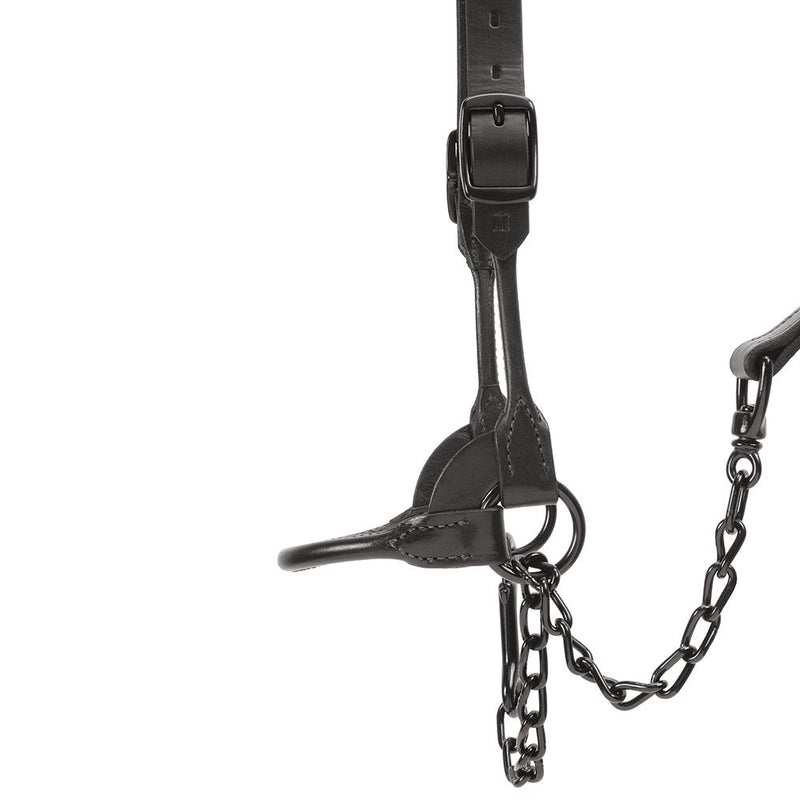 Weaver Leather Leather Black Magic Show Halter Medium