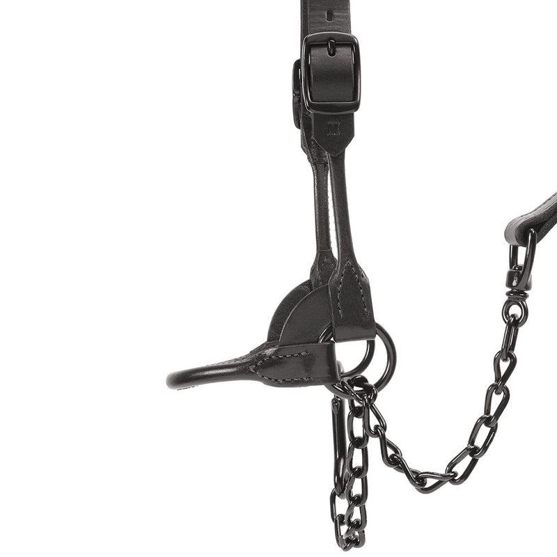 Weaver Leather Leather Black Magic Show Halter Large