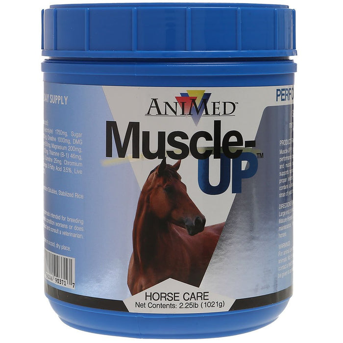 Muscle Up Powder