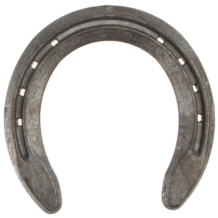 . Eventer eel Unclipped 00 Front (Pair)